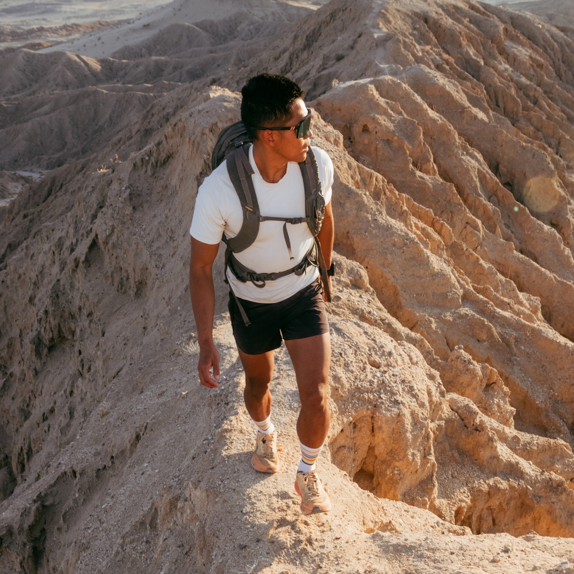 Men's Fastpack Micro Crew Lightweight Hiking Socks