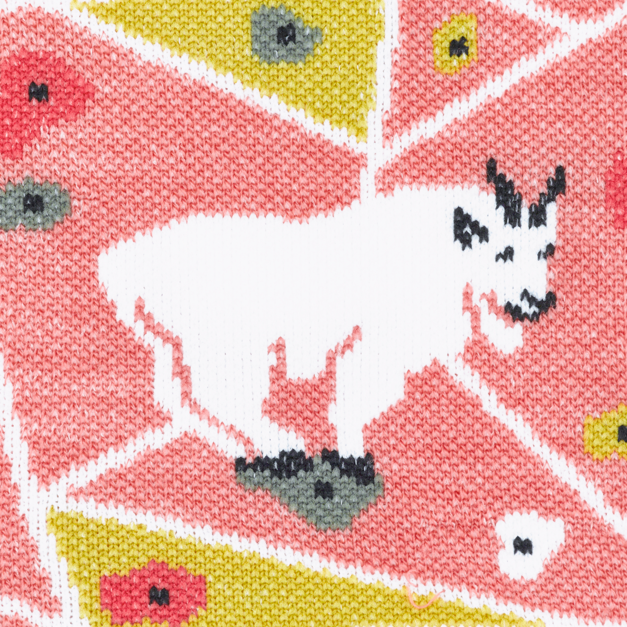 Women's Critter Club Micro Crew Lightweight Hiking Socks